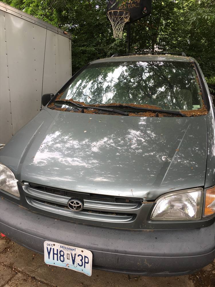 2000 Toyota Sienna (4 doors)